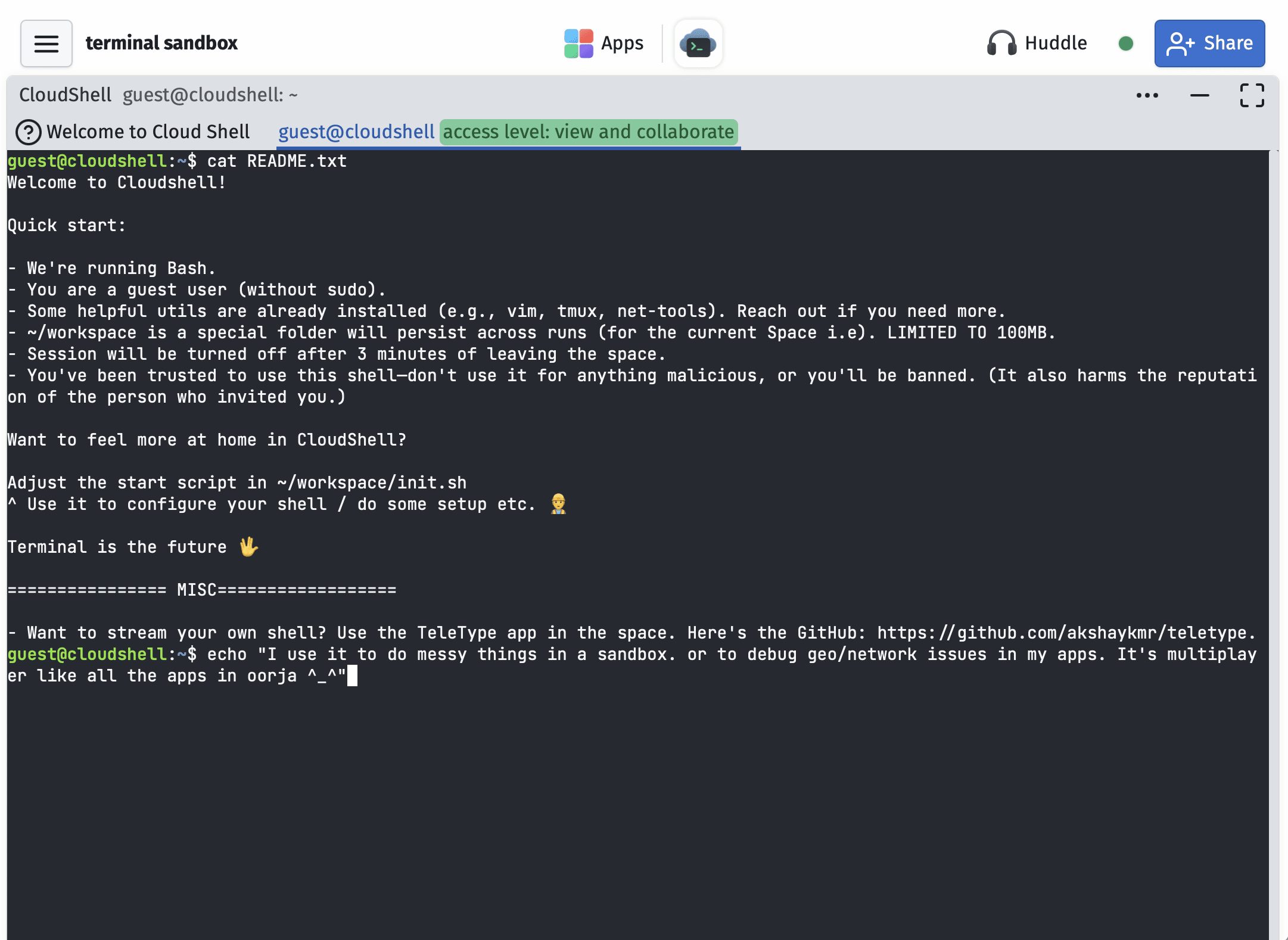 Cloud shell terminal available inside a Nomad space