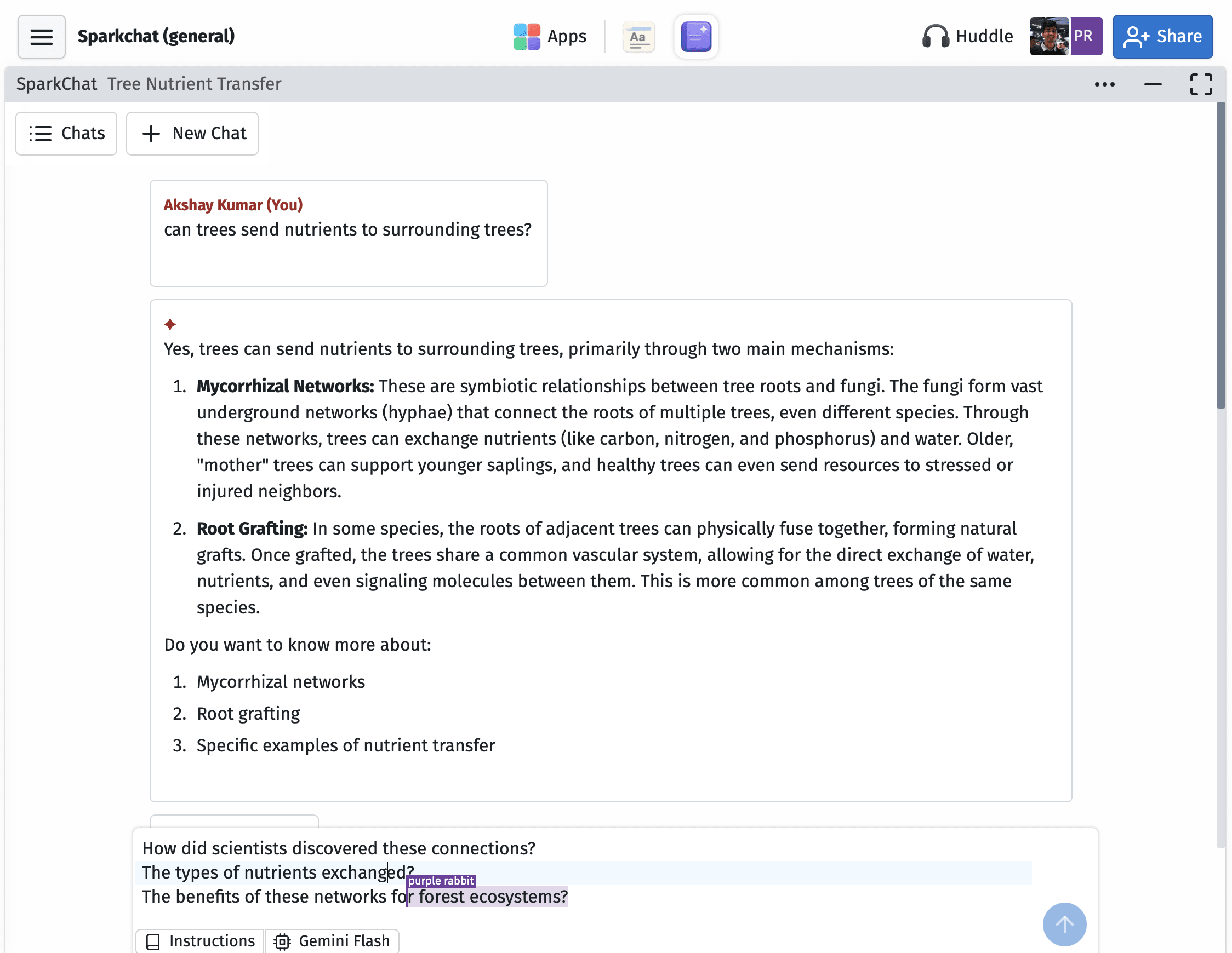 Sparkchat AI chatbook open in a collaborative space